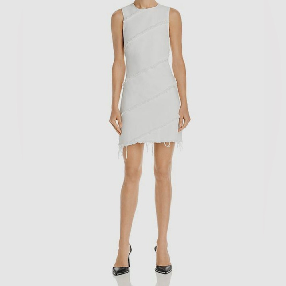 Alexander Wang Dress